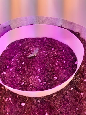 20220701_122843.jpg 20220701_122843.jpg