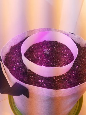 20220701_122858.jpg 20220701_122858.jpg