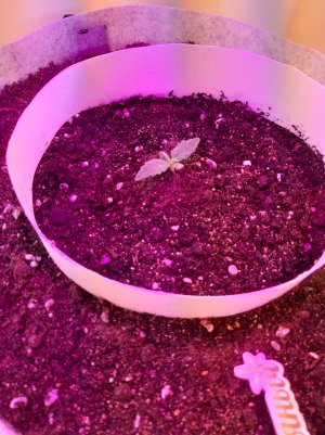 20220701_124315.jpg 20220701_124315.jpg