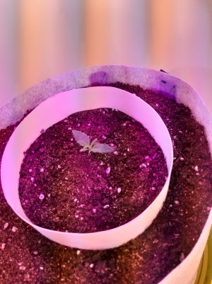 20220701_124358.jpg 20220701_124358.jpg