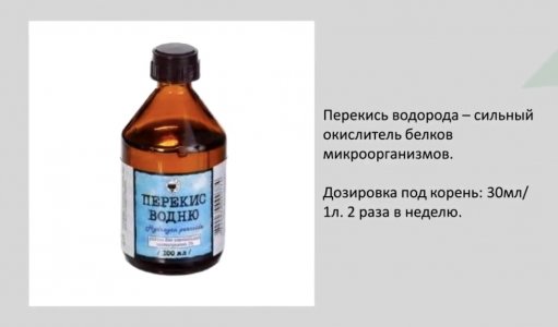 IMG_0598.jpg IMG_0598.jpg