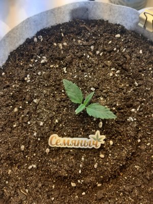 20220701_132850.jpg 20220701_132850.jpg