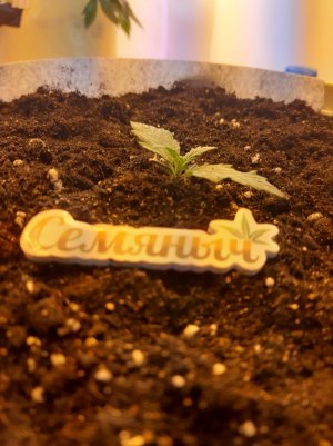 20220701_132904.jpg 20220701_132904.jpg