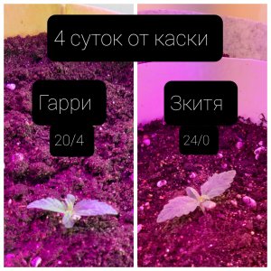 20220331_112836.jpg 20220331_112836.jpg