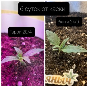 20220401_213738.jpg 20220401_213738.jpg