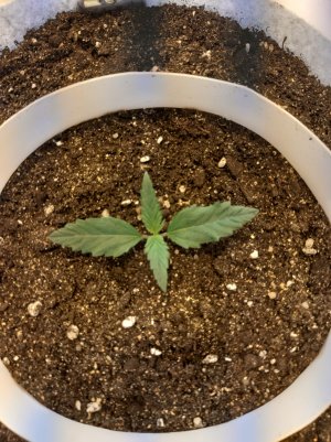 20220701_222737.jpg 20220701_222737.jpg