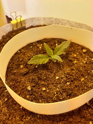 20220701_222752.jpg 20220701_222752.jpg