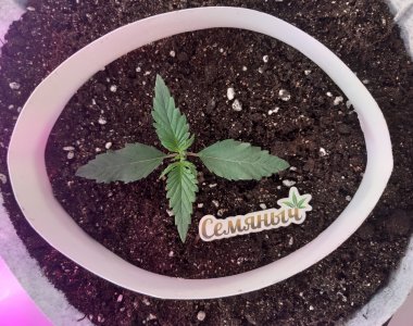 20220702_102127.jpg 20220702_102127.jpg