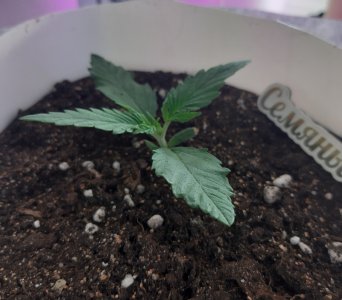 20220702_102201.jpg 20220702_102201.jpg