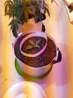 20220702_112429.jpg 20220702_112429.jpg