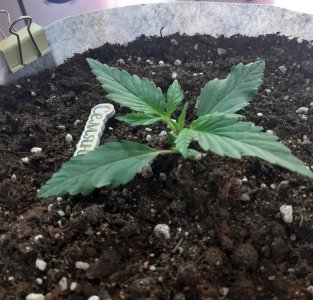 20220702_112557.jpg 20220702_112557.jpg