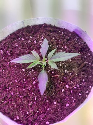 20220702_124212.jpg 20220702_124212.jpg