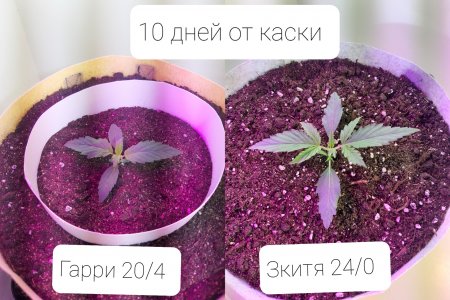 20220405_183113.jpg 20220405_183113.jpg