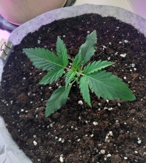 20220702_130509.jpg 20220702_130509.jpg