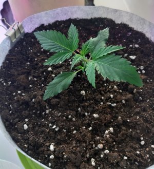 20220702_130534.jpg 20220702_130534.jpg