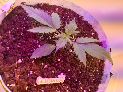 20220702_185016.jpg 20220702_185016.jpg