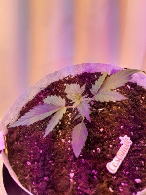 20220702_185000.jpg 20220702_185000.jpg