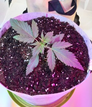 20220702_185045.jpg 20220702_185045.jpg