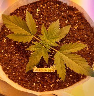 20220702_190204.jpg 20220702_190204.jpg