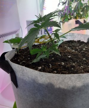 20220702_211517.jpg 20220702_211517.jpg