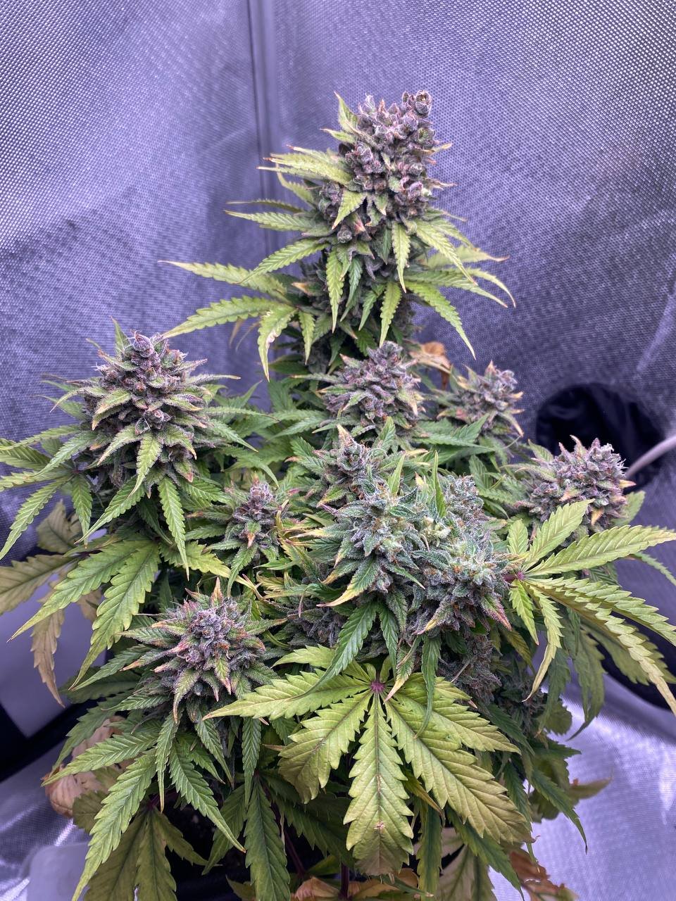 без одного.jpg