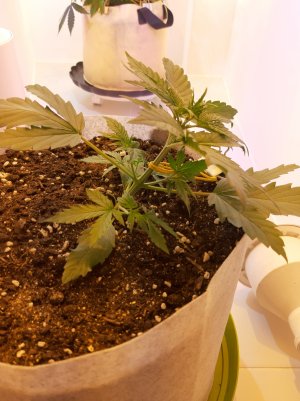 20220703_094205.jpg 20220703_094205.jpg