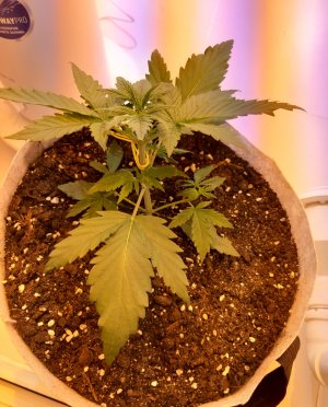 20220703_094133.jpg 20220703_094133.jpg