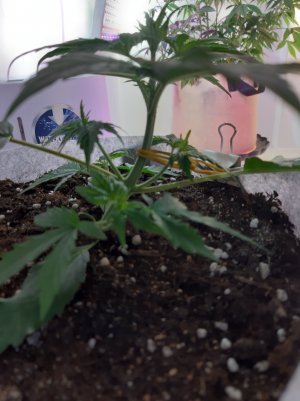 20220703_115051.jpg 20220703_115051.jpg