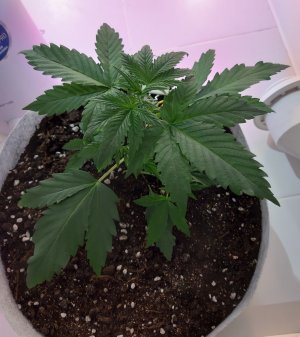 20220703_115018.jpg 20220703_115018.jpg