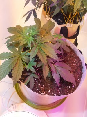 20220703_123617.jpg 20220703_123617.jpg