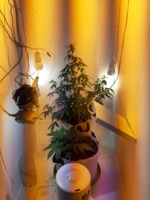 20220703_123544.jpg 20220703_123544.jpg