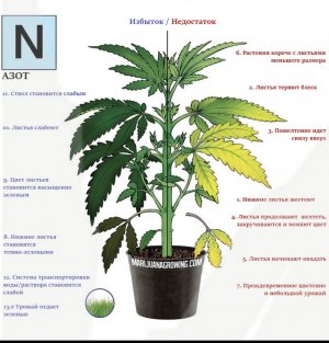 250383B5-8940-4232-A560-AB36A6DA5B12.jpeg 250383B5-8940-4232-A560-AB36A6DA5B12.jpeg