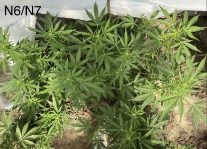 03.07.22N6;N7.jpeg 03.07.22N6;N7.jpeg