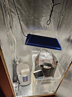 IMG20220704211822_обработано.jpg IMG20220704211822_обработано.jpg