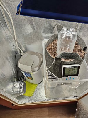 IMG20220705094327_обработано.jpg IMG20220705094327_обработано.jpg