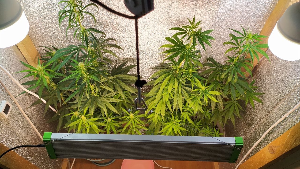 photo_2022-07-08_12-44-26 (2).jpg photo_2022-07-08_12-44-26 (2).jpg