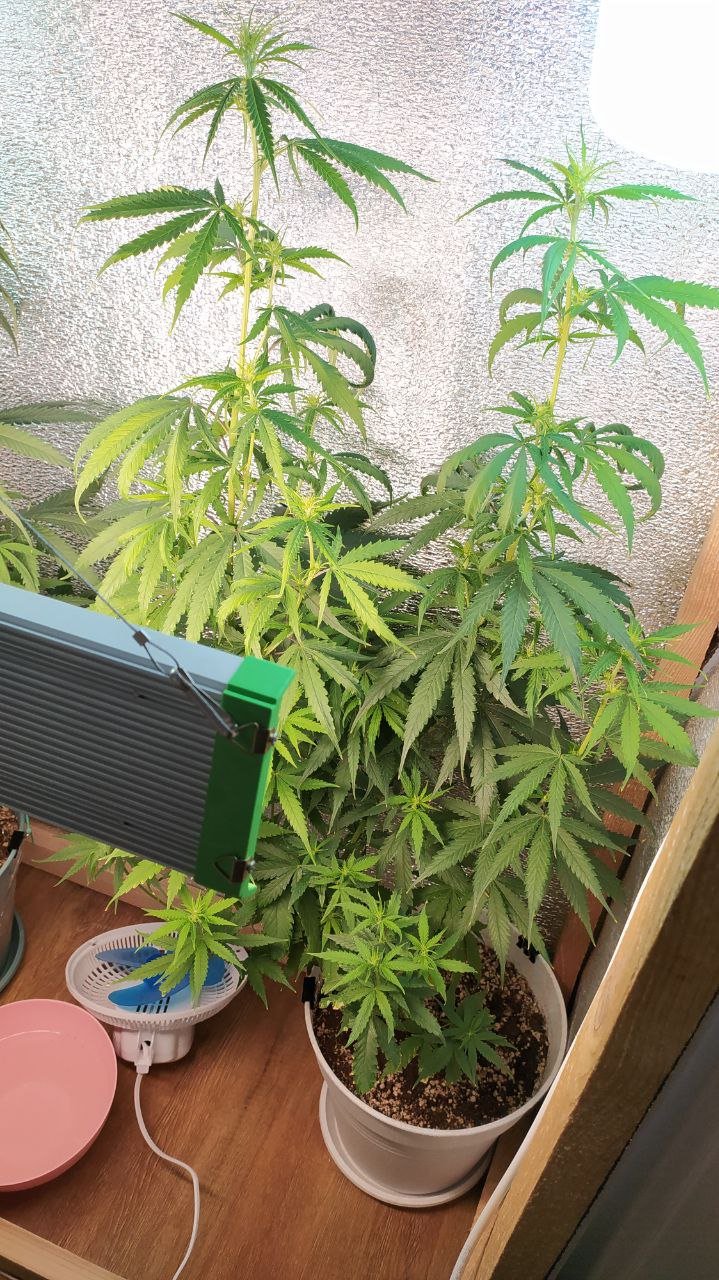 photo_2022-07-08_12-44-26 (3).jpg photo_2022-07-08_12-44-26 (3).jpg