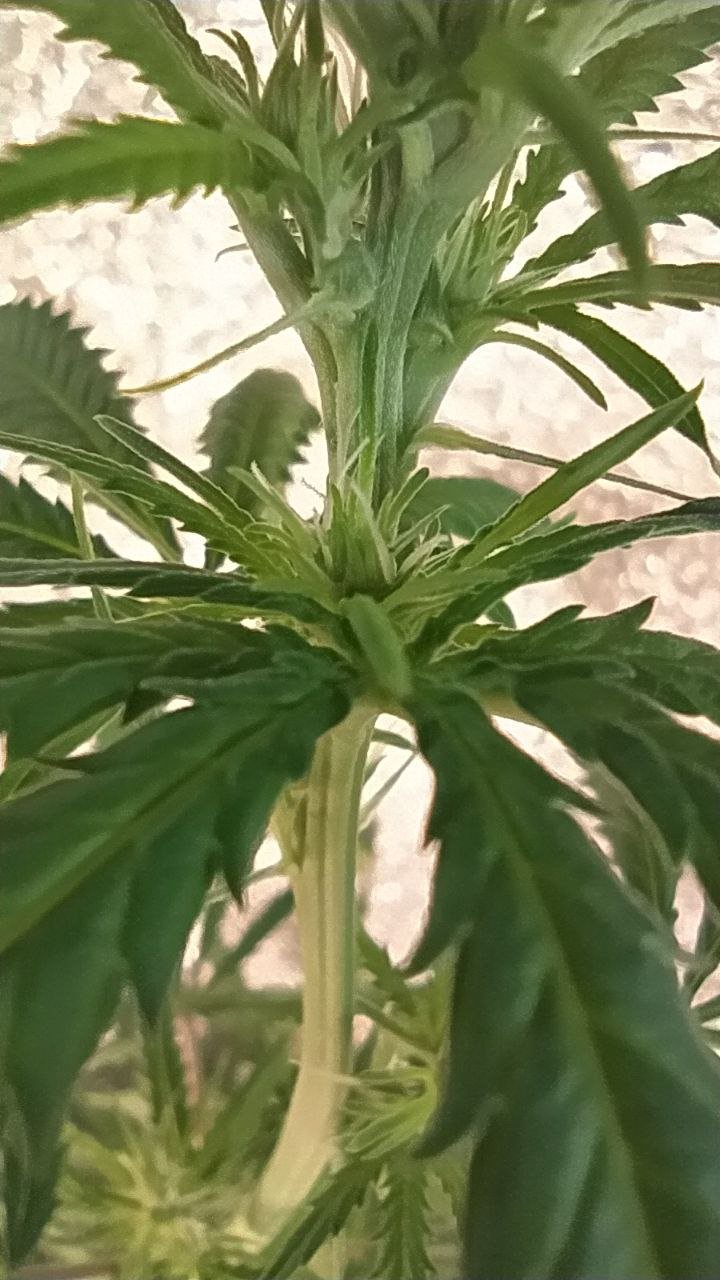 photo_2022-07-08_12-44-26.jpg photo_2022-07-08_12-44-26.jpg