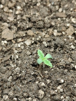 IMG20220709070926 (1).jpg