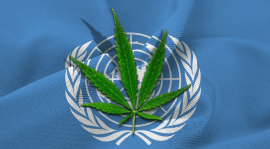 1607623972750.png 1607623972750.png