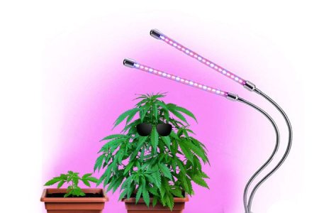 лампы для конопли лампы для конопли