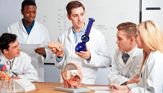 1610388746518.png 1610388746518.png