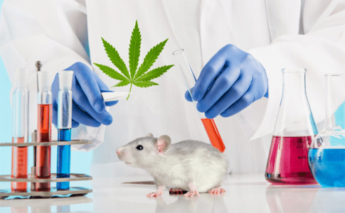 1610388963284.png 1610388963284.png