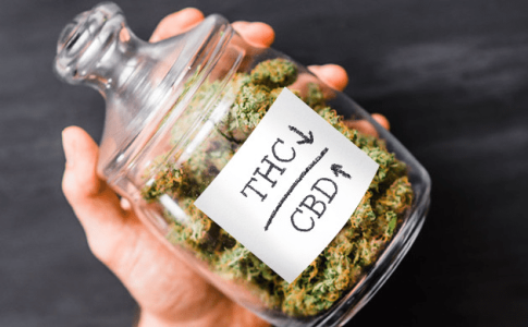 1610660871390.png 1610660871390.png