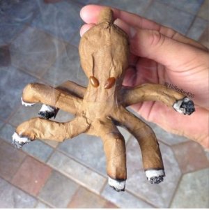 фото11.jpg фото11.jpg