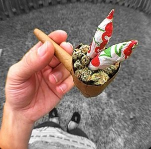 фото16.jpg фото16.jpg