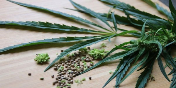 фото2.jpg фото2.jpg