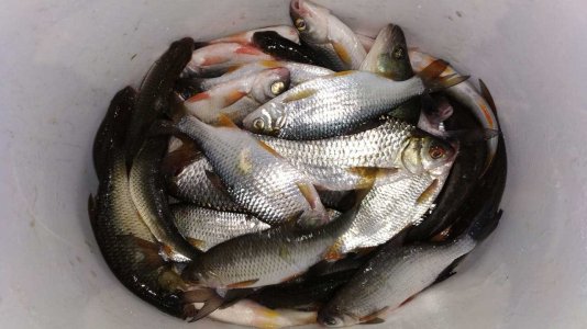 фото1.jpg фото1.jpg