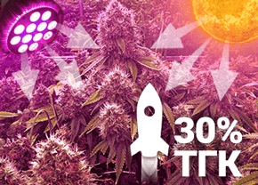 1611132604467.png 1611132604467.png