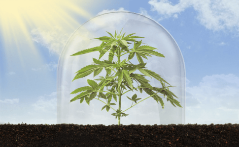 1611132662539.png 1611132662539.png